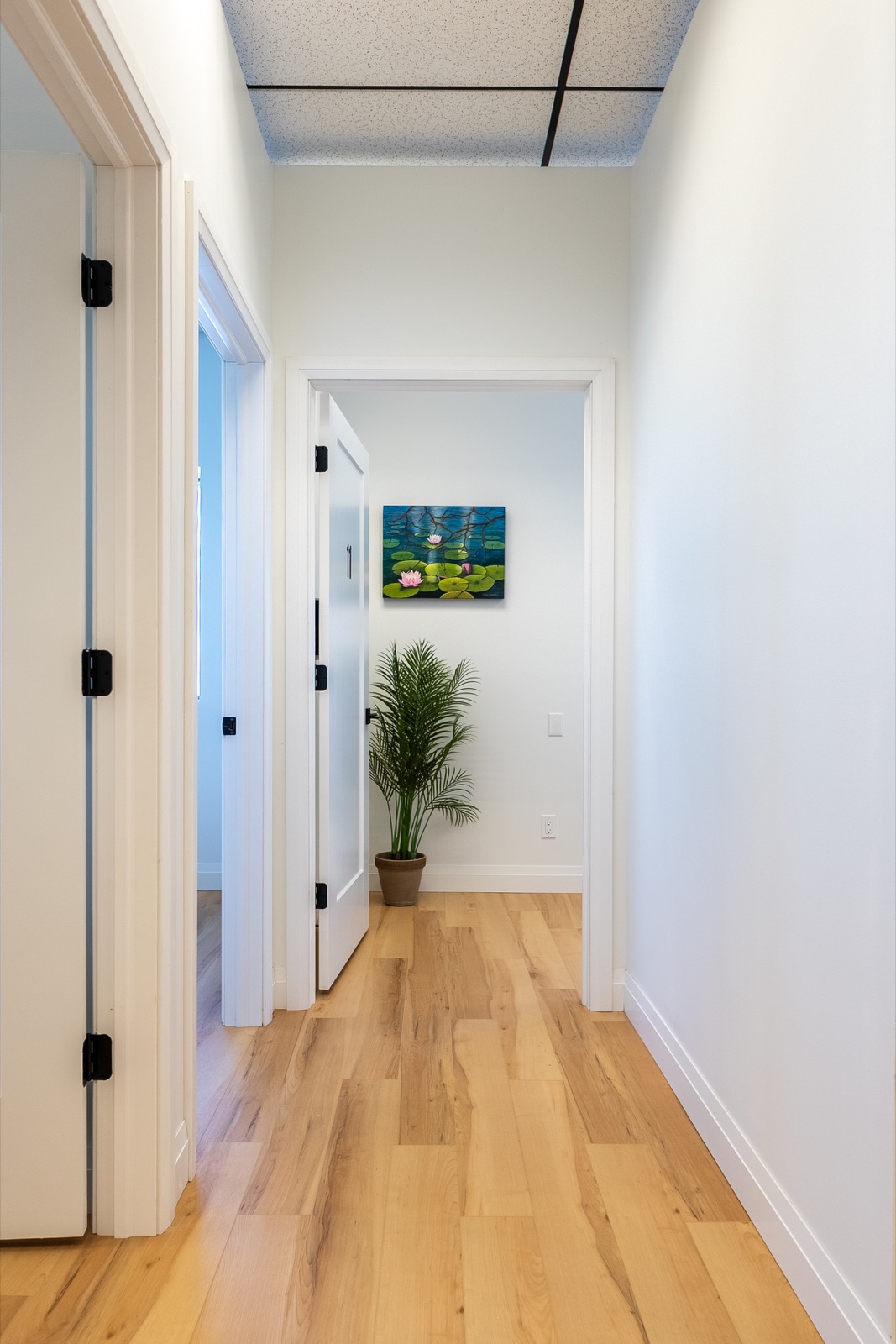 Calm, art-lined hallway with greenery and natural light