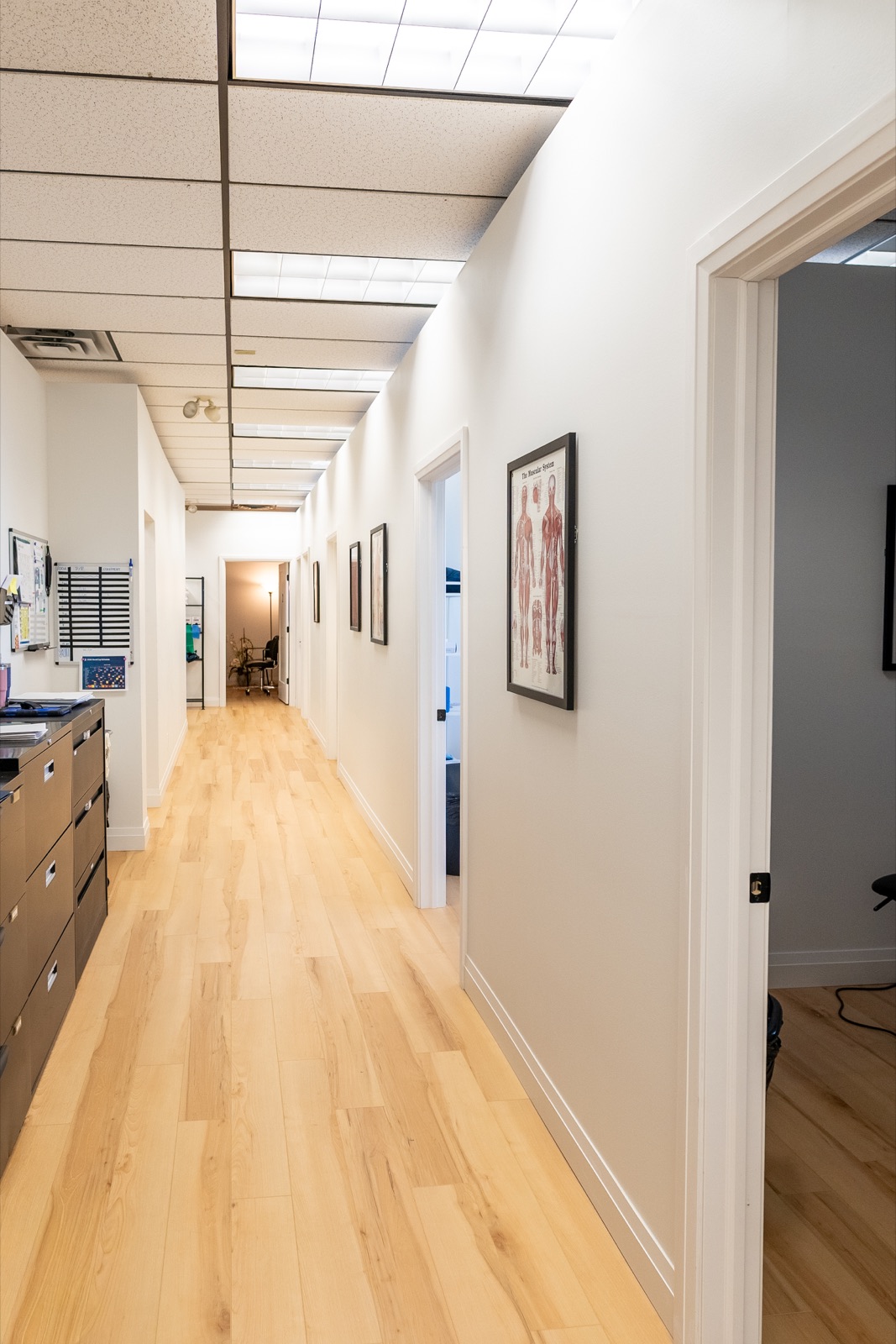 Treatment-room corridor with anatomy artwork and storage