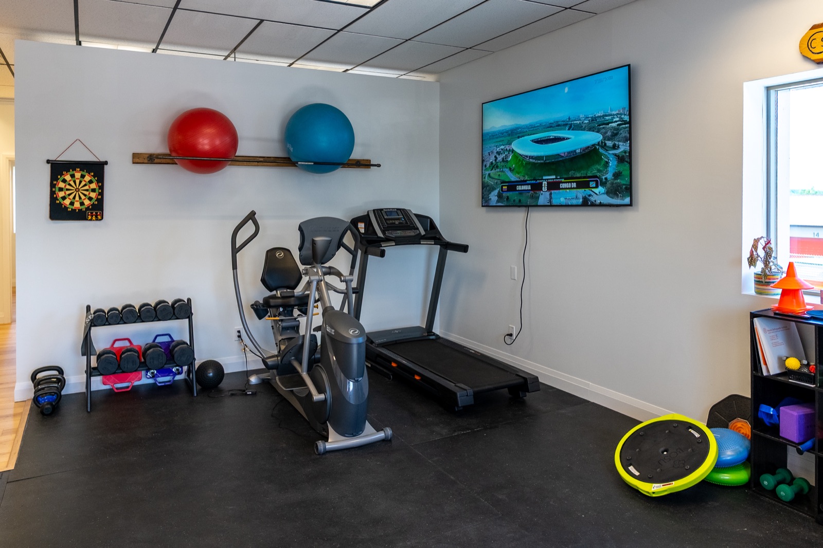 Rehabilitation gym with cardio equipment, exercise balls and free weights
