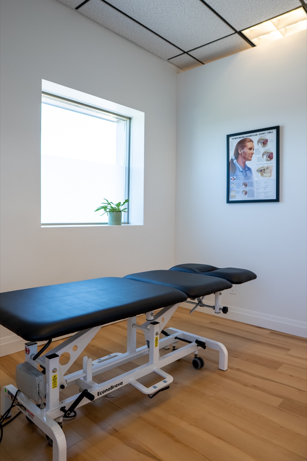 Treatment room with padded plinth, window and anatomy poster