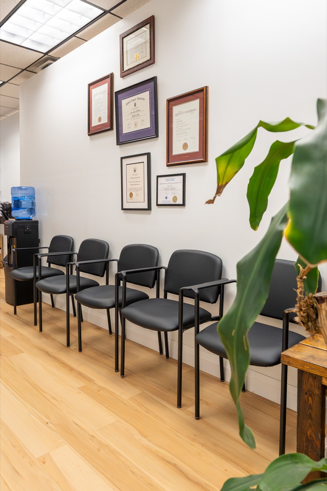 Comfortable waiting area with framed diplomas and credentials